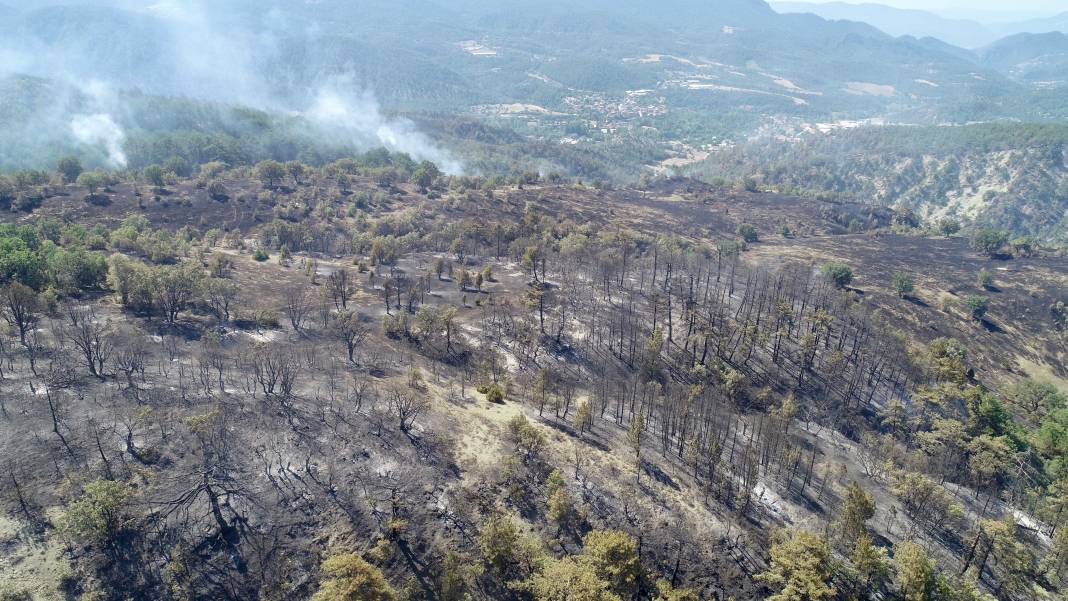 Bolu'daki yangının acı bilançosu 7